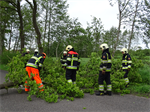 Prio 2 Stormschade Heerenweg Sumar
